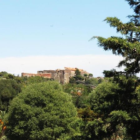 Magnifique Appartement Proche Centre Collioure Exterior photo