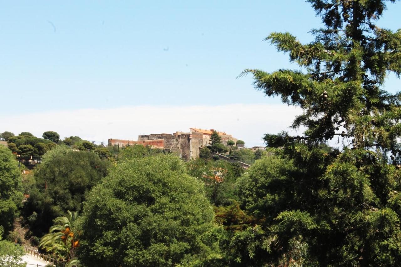 Magnifique Appartement Proche Centre Collioure Exterior photo
